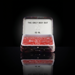 Fruit Wellness Gummies